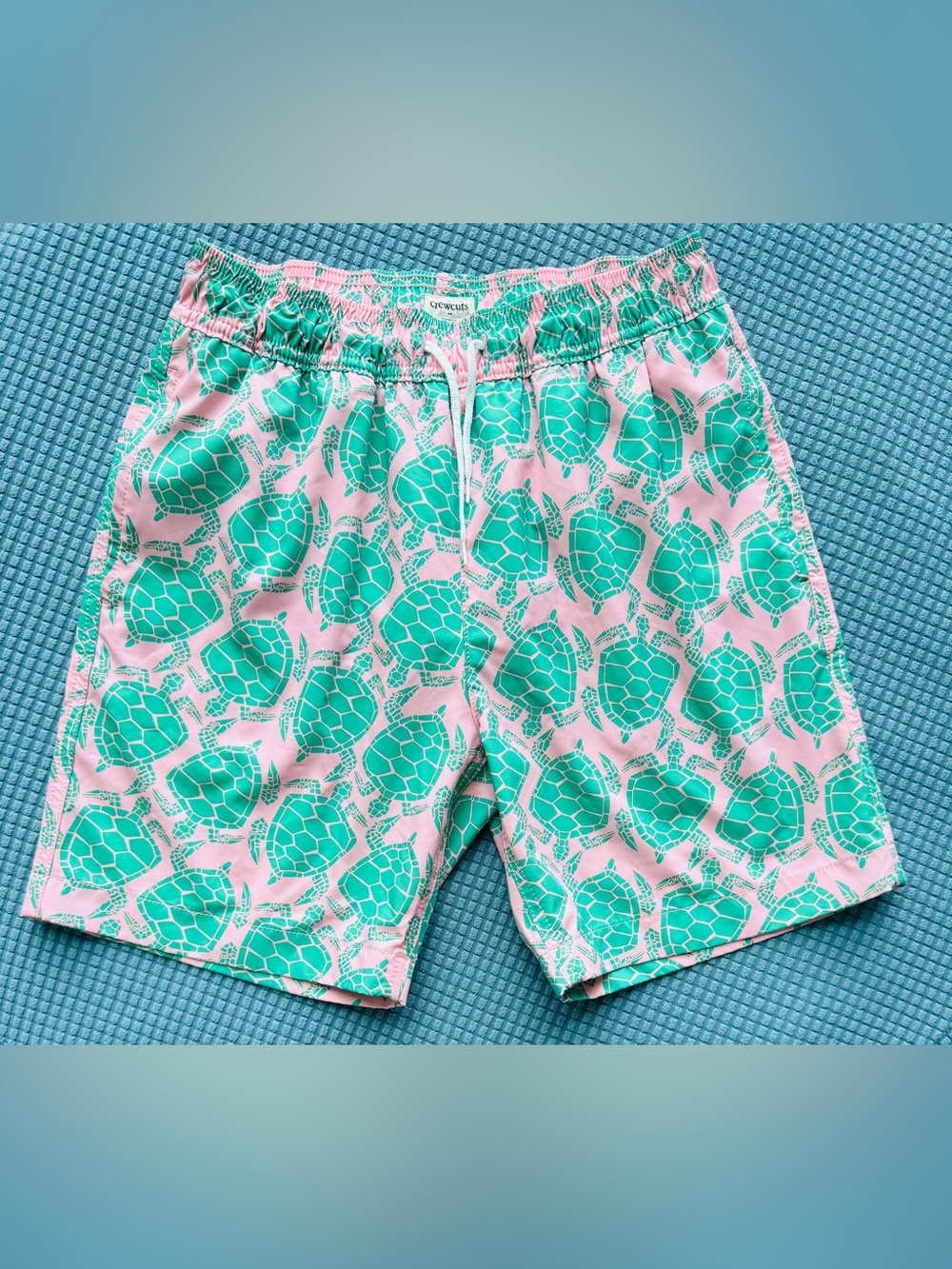 Crewcuts sea turtle swim trucks in excellent condition size boys 14.